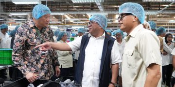 Deputi Investasi dan Pengusahaan Belanja Masalah di Kawasan Industri Batam