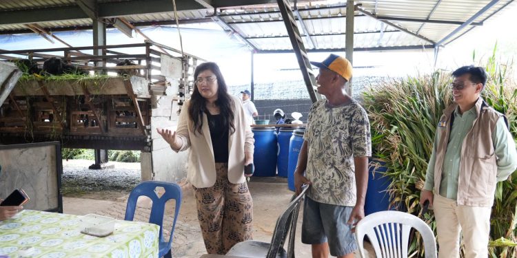 Anggota Deputi Bidang Pelayanan Umum Cek Layanan RSBP Batam dan Kondisi Agribisnis Sei Temiang