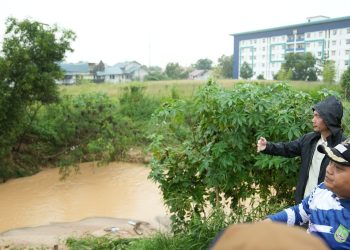 Komitmen Deputi VII BP Batam Atasi Masalah Banjir di Batam