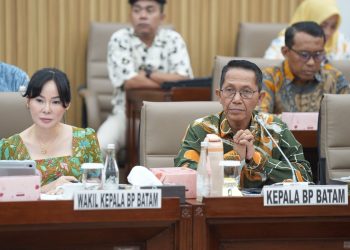 Anggaran BP Batam 2026 Fokus pada Pembangunan Infrastruktur Ekonomi dan Kesehatan