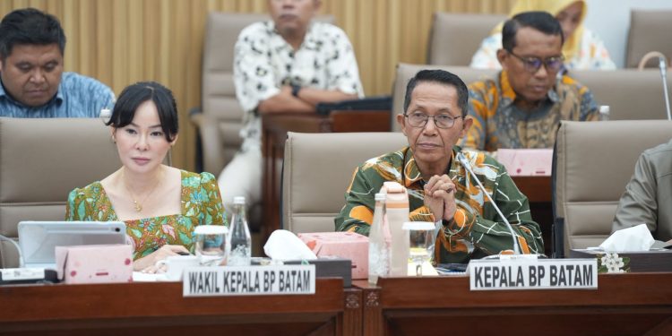 Anggaran BP Batam 2026 Fokus pada Pembangunan Infrastruktur Ekonomi dan Kesehatan