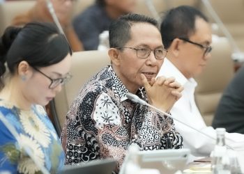 RDP Komisi VI DPR RI Bahas Arah Kebijakan dan Program Prioritas 2025-2029 oleh BP Batam